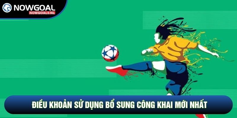 Điều khoản sử dụng bổ sung công khai mới nhất