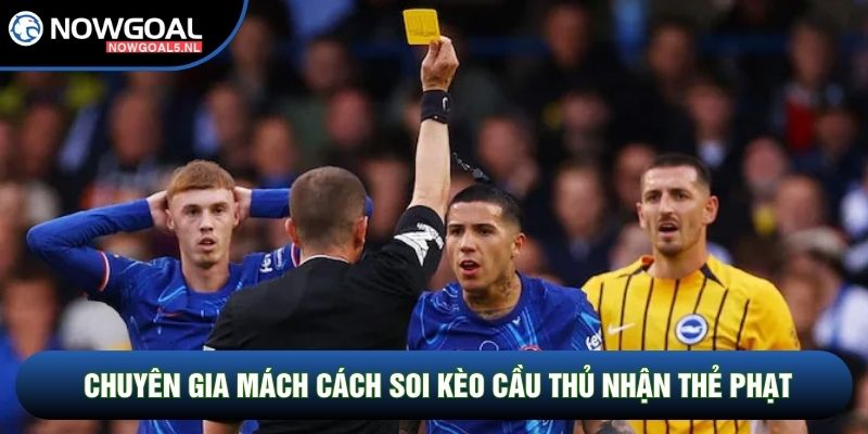 Chuyên gia mách cách soi kèo cầu thủ nhận thẻ phạt