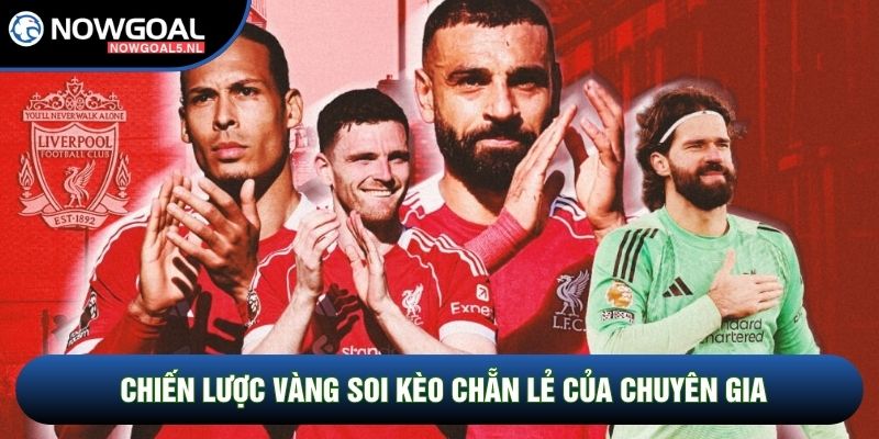Chiến lược vàng soi kèo chẵn lẻ của chuyên gia